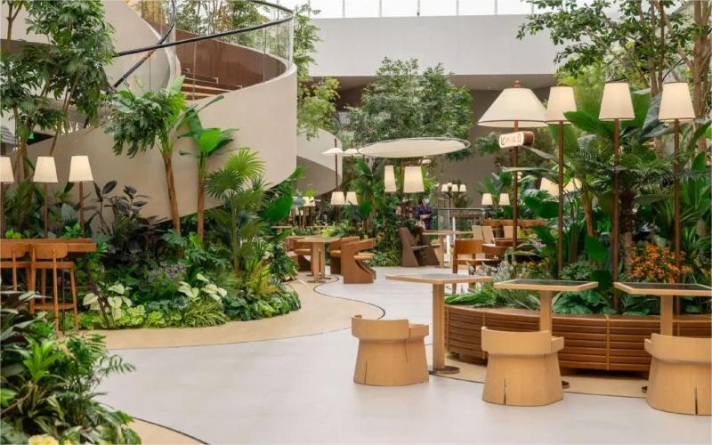 上海植物租赁,上海办公室植物租赁,上海植物出租摆放 室内绿植花园餐厅,用植物组织一个柔软的空间