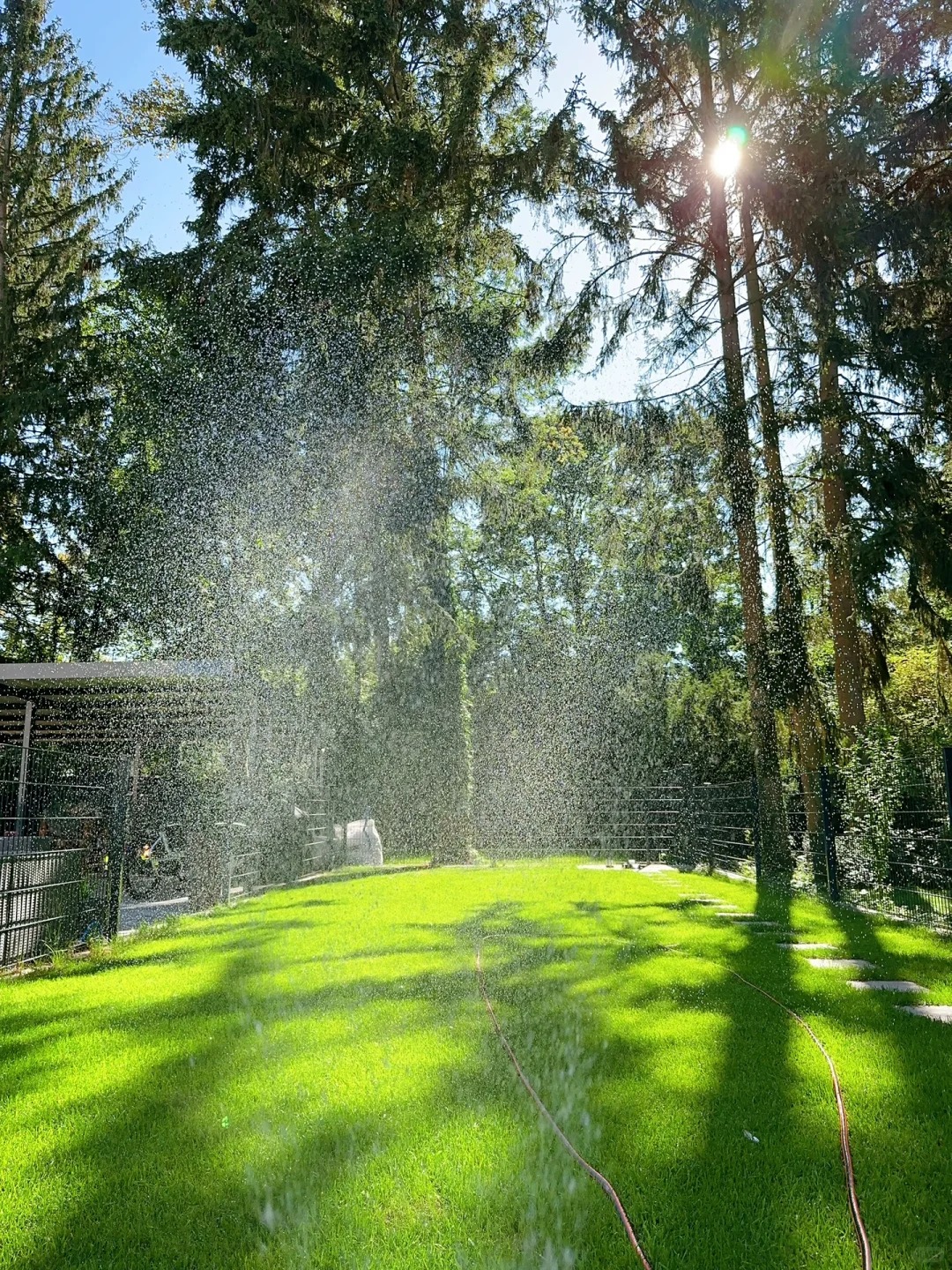 🇩🇪绿绿的草地🈚️杂草  一篇讲清养护经验_4_快小屁_来自小红书网页版(1).jpg