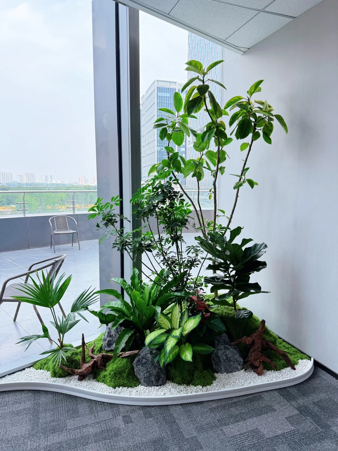 绿色办公室新风尚🍃🌿_1_企业绿植定制师_来自小红书网页版(1).jpg