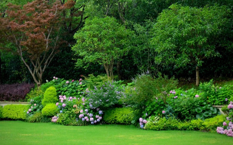 绿化养护之让你的庭院四季如新